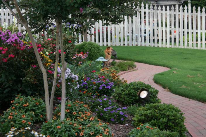 Photo of landscape designed by Adams Nursery with annual and perennial flowers and blooming and evergreen shrubs.