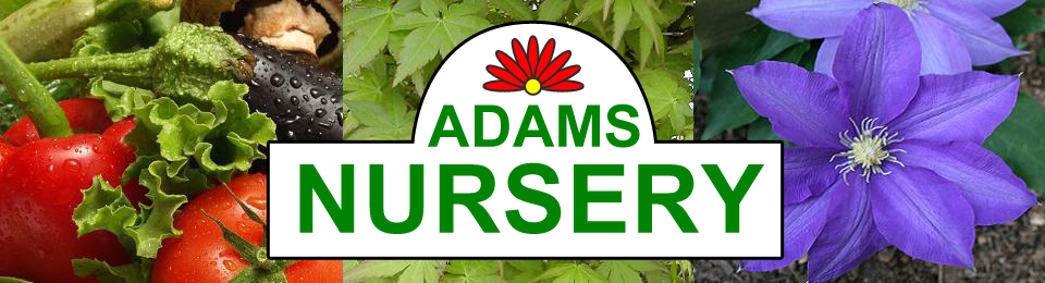Adams Nursery & Landscaping