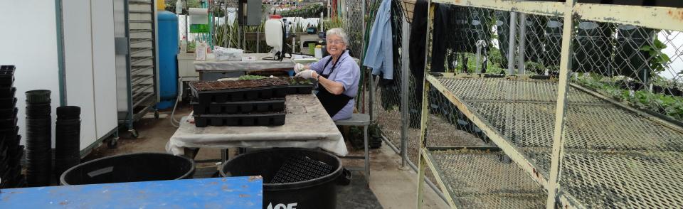 No trailer truck sickness for our flowers. Koryn and our staff germinate, root and grow our flowers right here in Paragould. They make sure every flower has been acclimated to the Northeast Arkansas climate and monitored for quality.