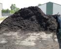 This is one of the two types of bulk much sold at Adams Nursery.  This hardwood painted black mulch is sold by the scoop (1/2 cu yd) and retains it color for quite some time.  This is a good mulch for shrub beds and around trees.