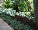 Landscaping for shady areas.