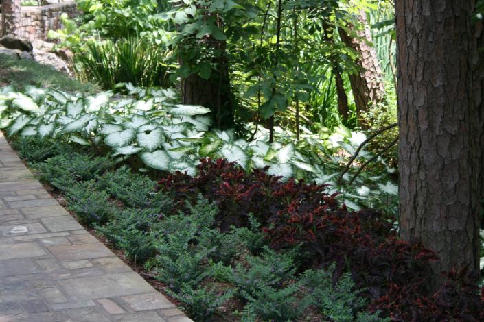 Landscaping for shady areas.
