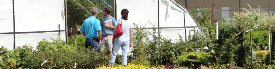 Opening Adams Nursery & Landscaping was a natural progress. The Adams brothers started out growing vegetables in elementary school and selling them to community grocery stores around the Northeast Arkansas area. 