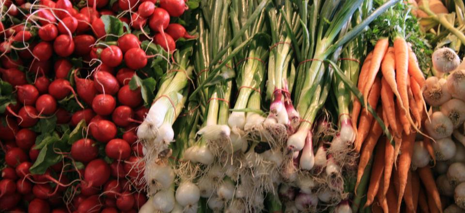 Dreaming of a bountiful harvest to help with those grocery bills. We grown a variety of vegetables great for the Northeast AR and Southeast MO. area. All tested in our own garden.