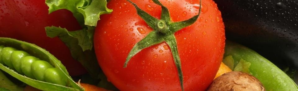 Do you love vegetable plants like we do?  Neal and Steve have been avid gardeners all their lives. So, every spring they start vegetables plants from seed in their greenhouses. 